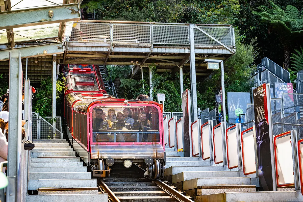 A red Scenic Railway carriage with passengers arriving at a station on a steep track, with stairs beside it and ferns above